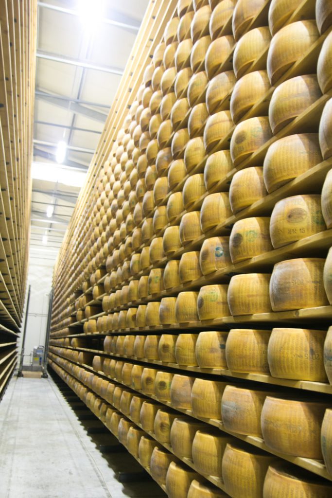 Parmigiano-13