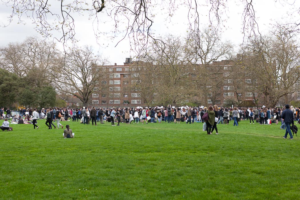 pillow fight london battaglia cuscini