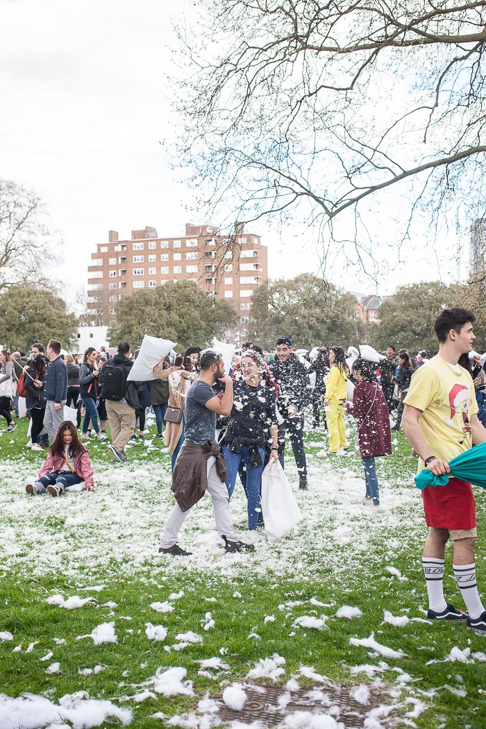 pillow fight london battaglia cuscini