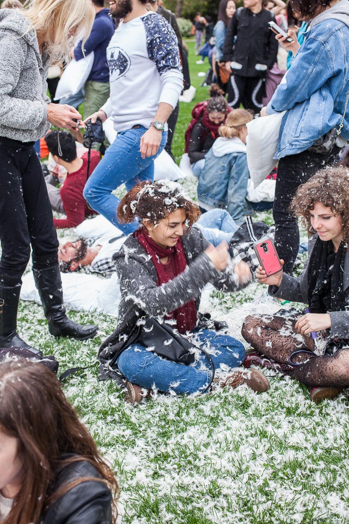 pillow fight london battaglia cuscini