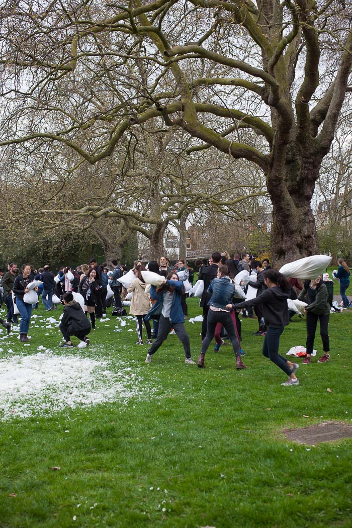 pillow fight london battaglia cuscini