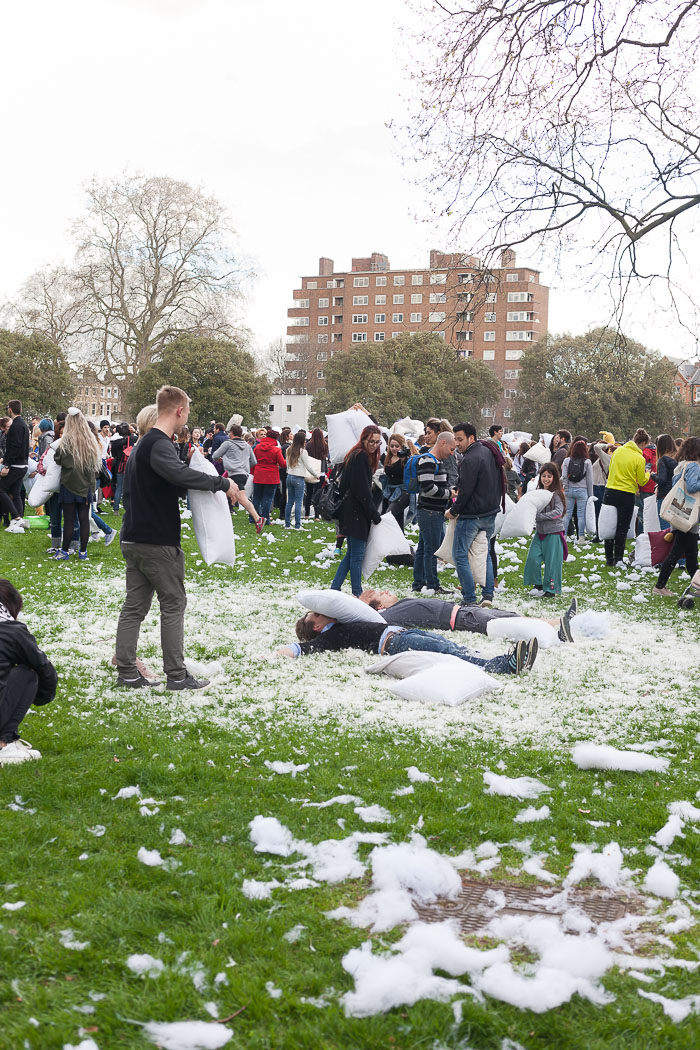 pillow fight london battaglia cuscini